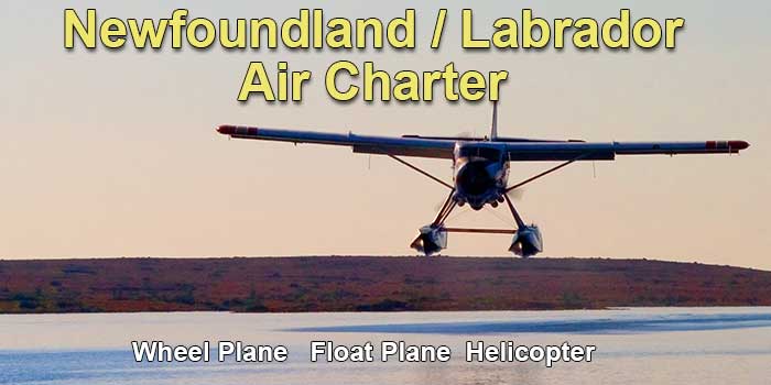 Springdale Charter Flights